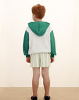 Multicolor Stripe Shorts