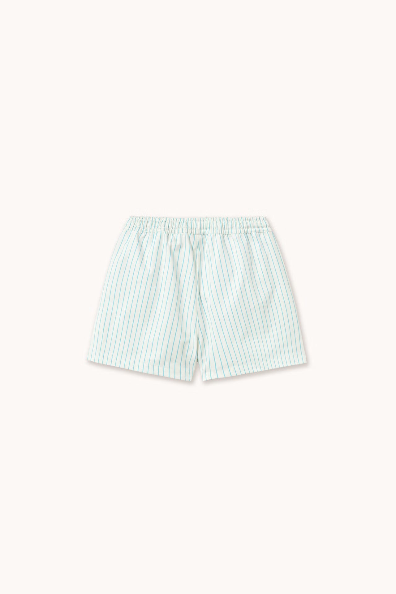 Cyan Fine Stripes Swim Trunks