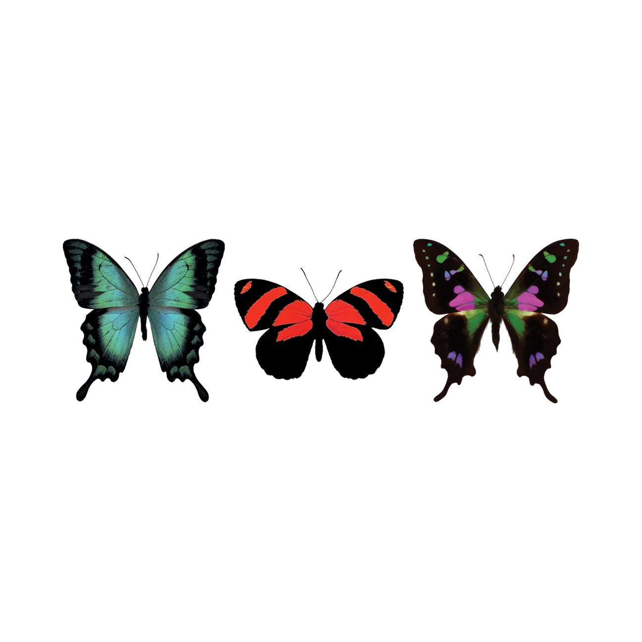 Tattly Temporary Tattoos - Thumbnail 3