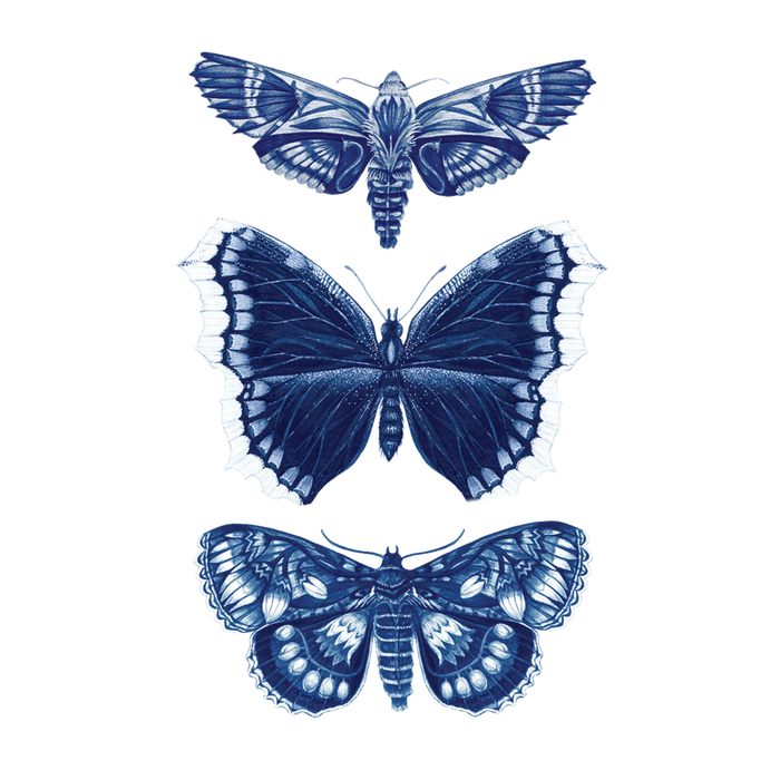 Sapphire Moths Tattoo Pair by Tattly