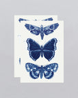Sapphire Moths Tattoo Pair by Tattly
