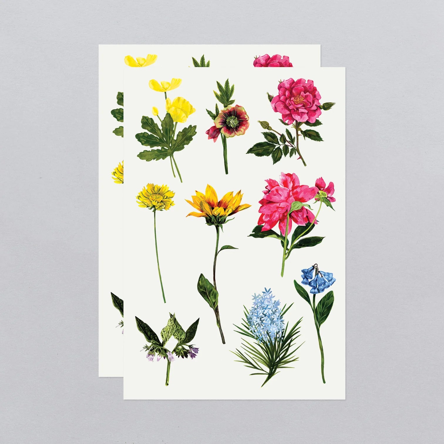 Garden Variety Tattoo Sheet by Tattly