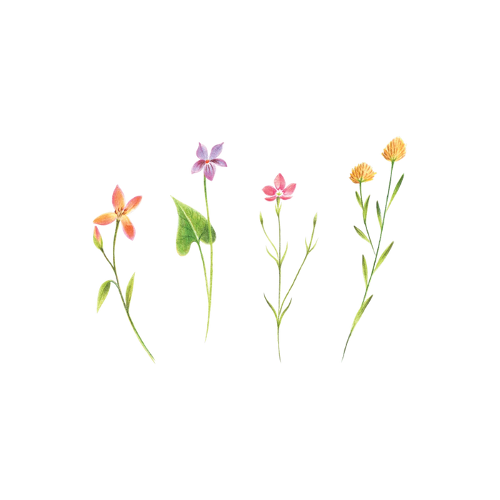 Petite Florals Tattoo Pair by Tattly