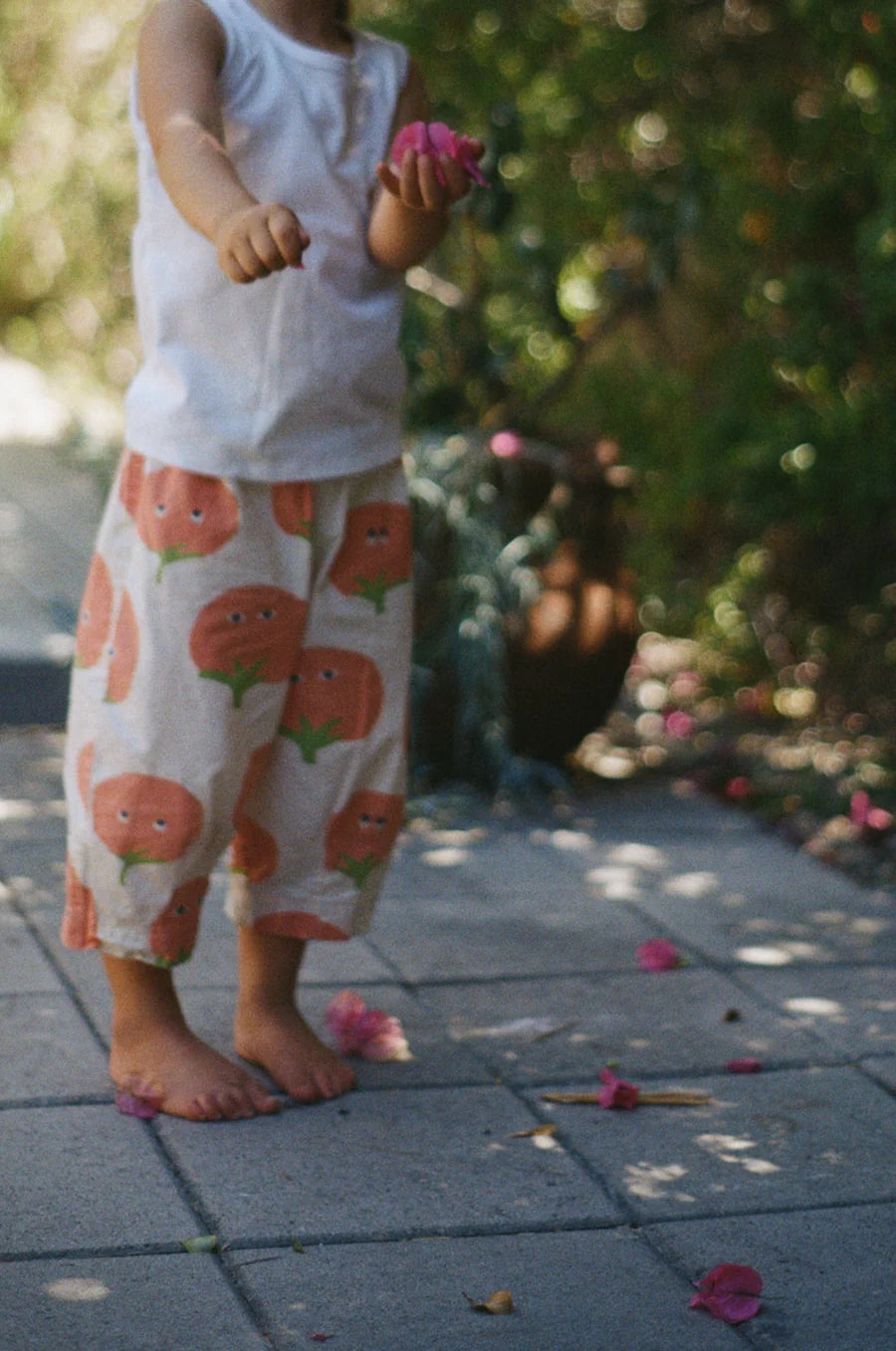 Tomato Cotton Pants