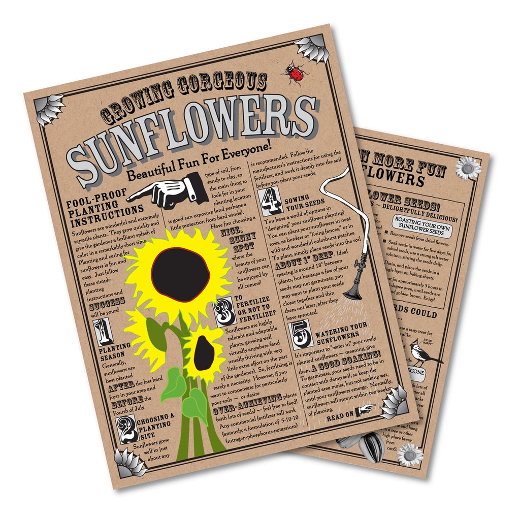 Sunflower Seed Grow Kit by The Jonsteen Company