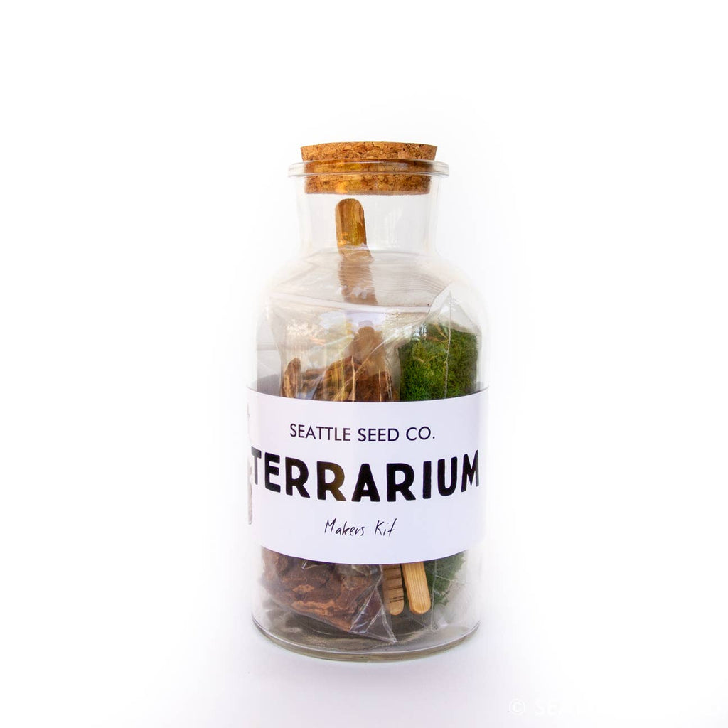 DIY Terrarium Kit by Seattle Seed Co. – Mochi Kids