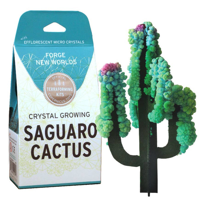 Crystal Growing Saguaro Cactus by Copernicus Toys