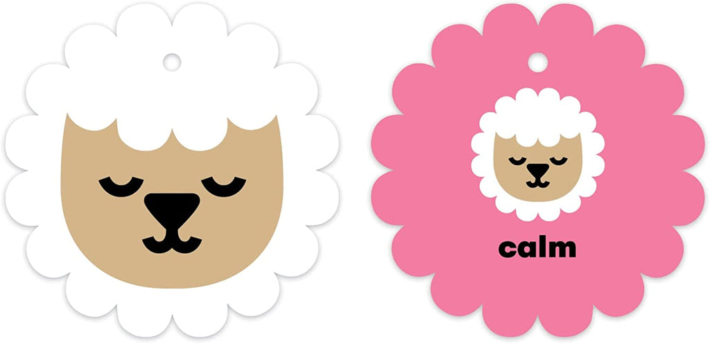 How Are You Feeling Shaped Ring Flash Cards by Mudpuppy