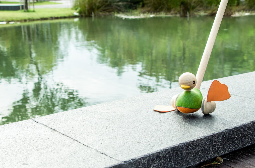 Push along duck sales
