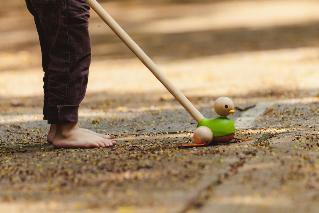 Plan toys shop push along