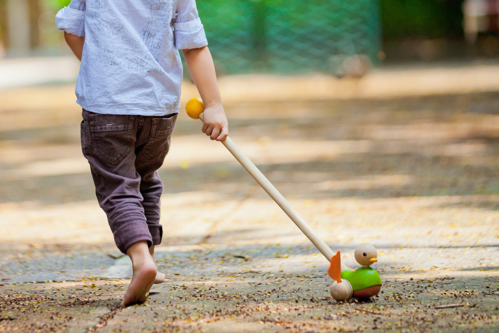 Push-Along Duck by Plan Toys