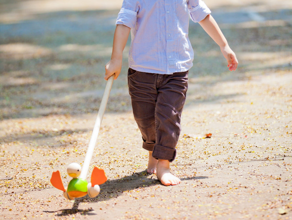 Push-Along Duck by Plan Toys
