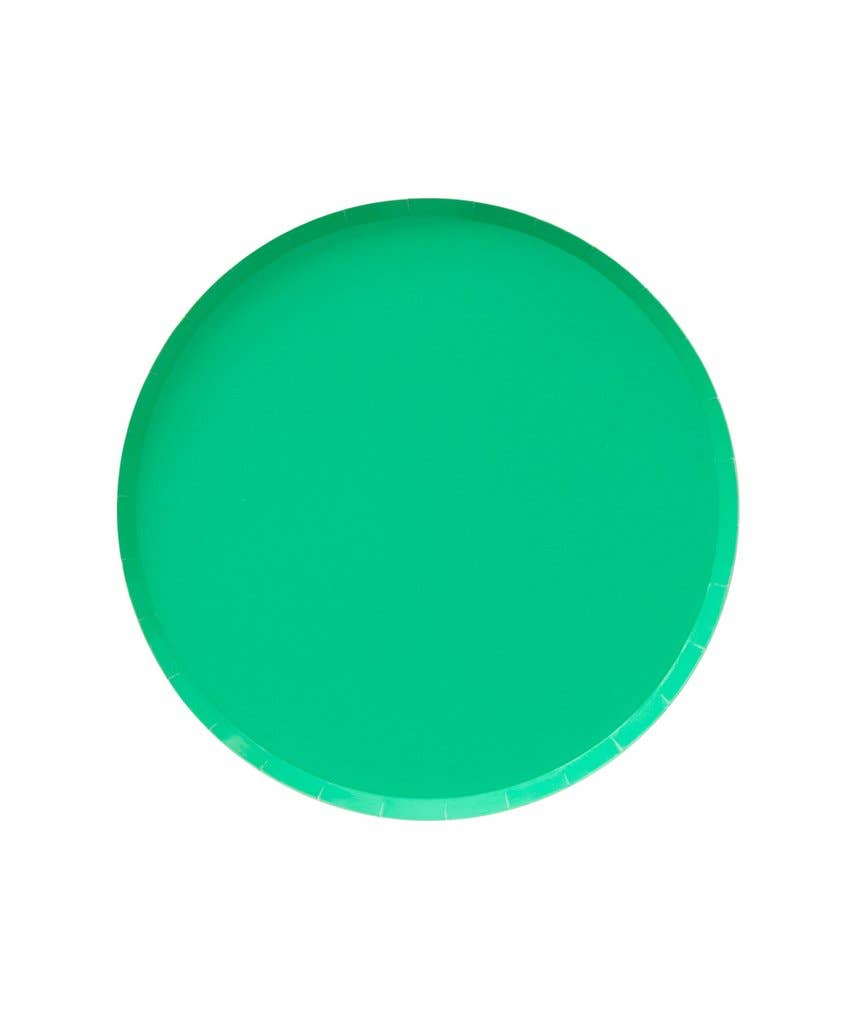 SALE Large Low Rim Plates by Oh Happy Day Party Shop (More Colors Available)