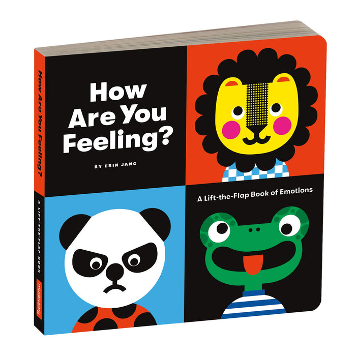 How Are You Feeling Board Book by Mudpuppy
