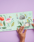 Eggs are Everywhere Board Book by Wednesday Kirwan