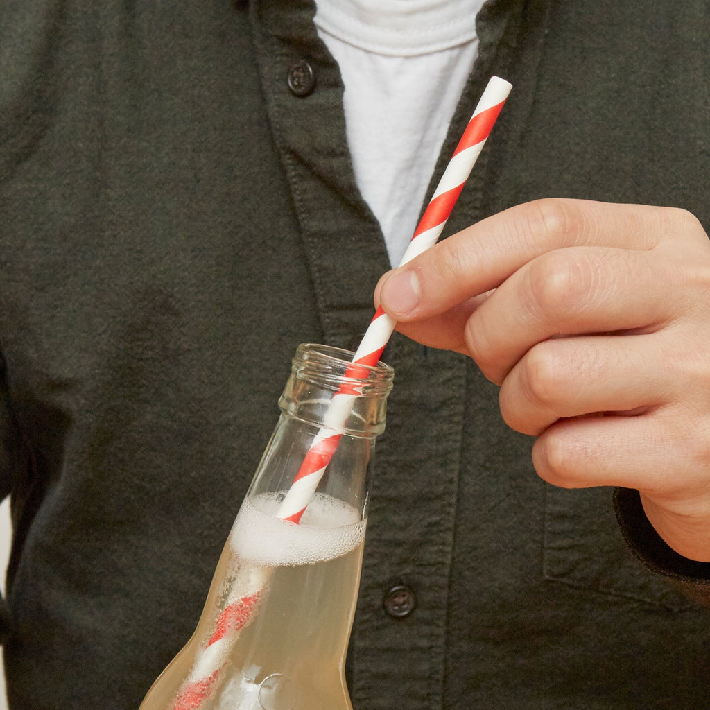 SALE Biodegradable Paper Straws by Kikkerland