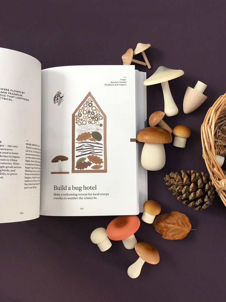 The Nature of Play Book by Fanny & Alexander