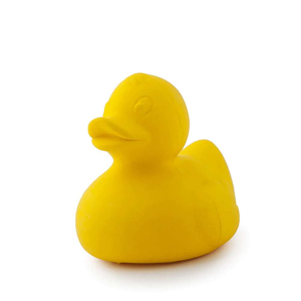 Elvis The Duck by Oli & Carol