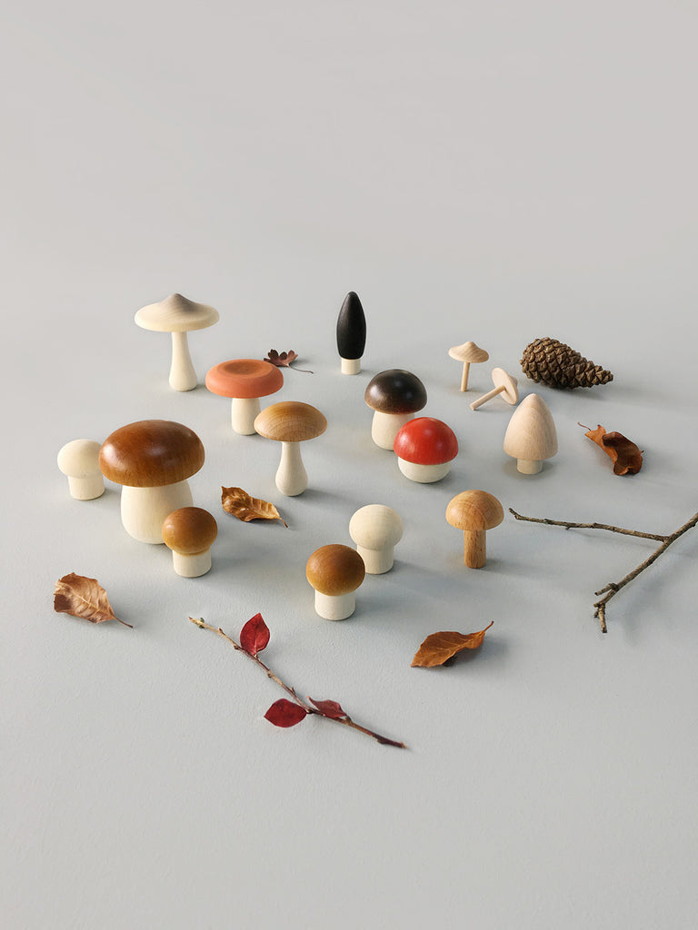 Forest Mushrooms In a Box by Moon Picnic