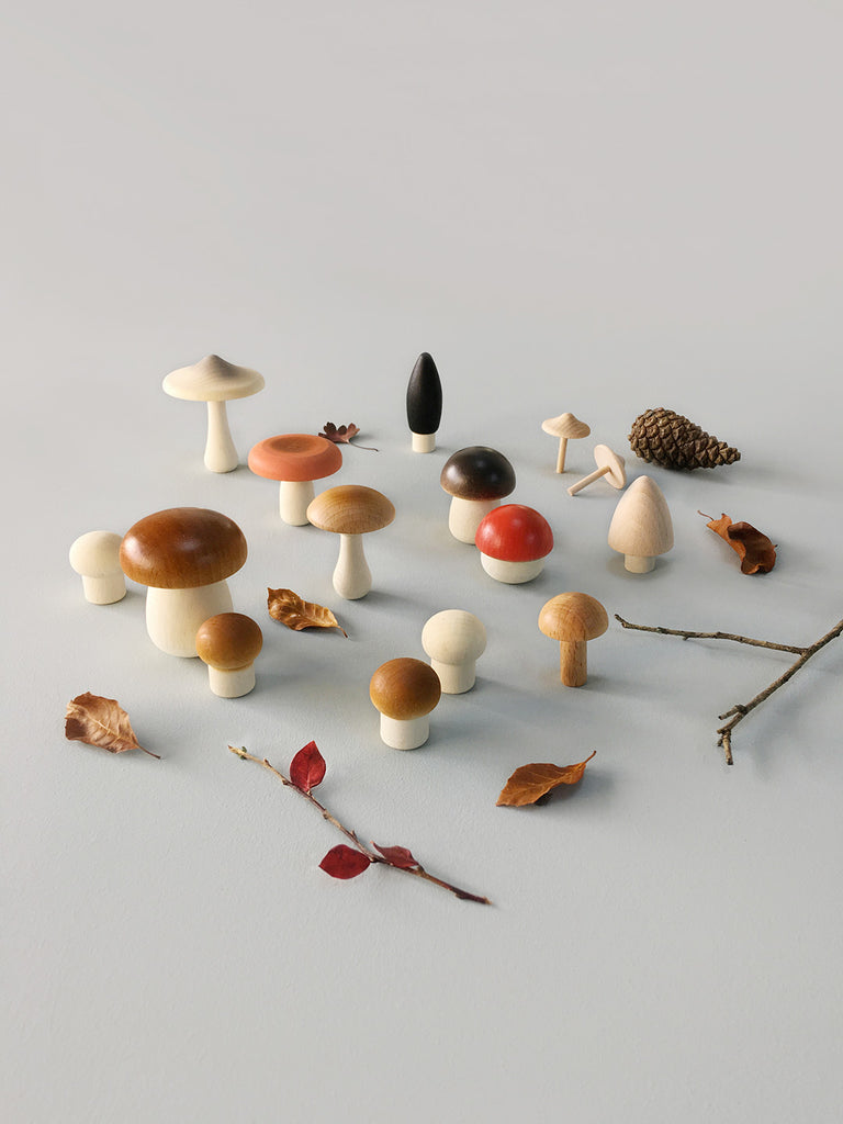 Forest Mushrooms in a box by Moon Picnic
