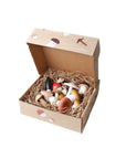 Forest Mushrooms In a Box by Moon Picnic