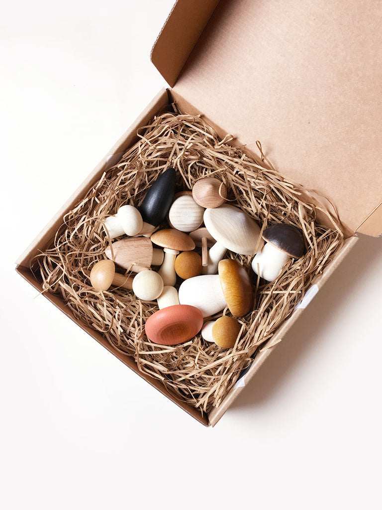 Forest Mushrooms In a Box by Moon Picnic