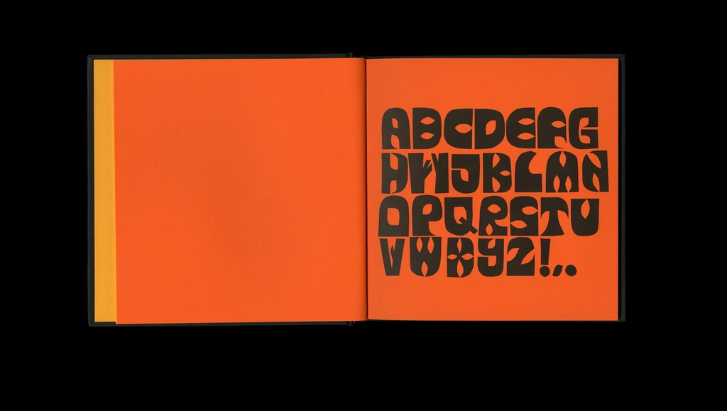 SALE Fall Is...  Book By Adam Higton X Actual Source