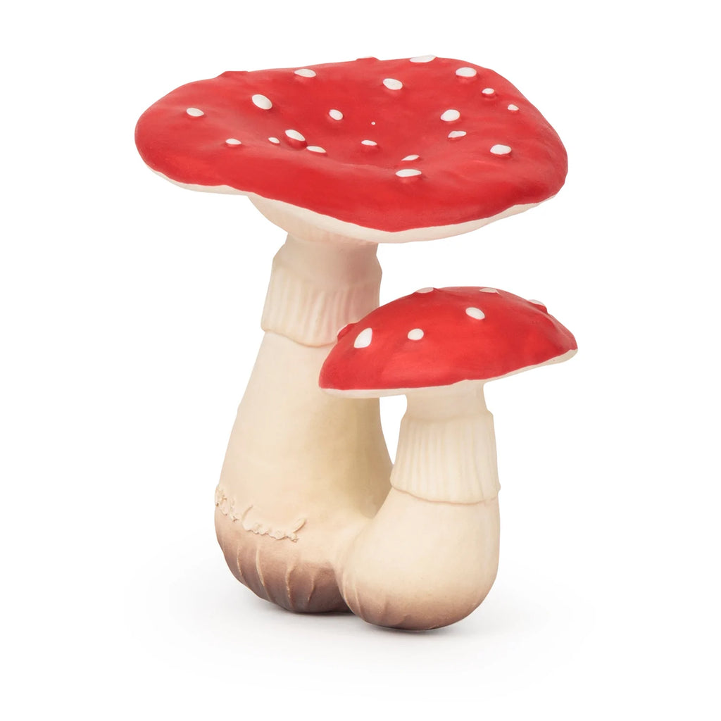 Spot The Mushroom by Oli & Carol