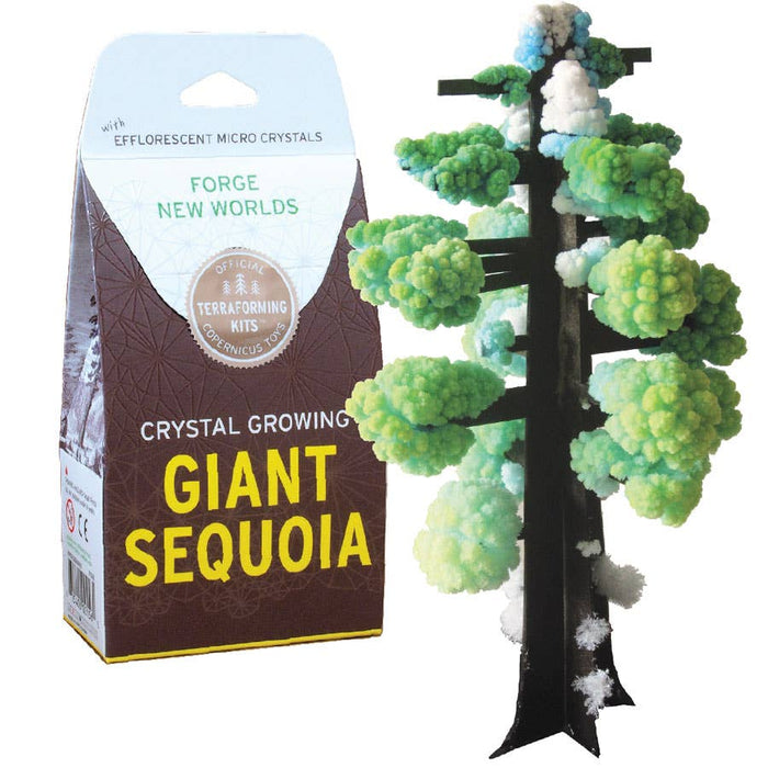 Crystal Growing Giant Sequoia by Copernicus Toys