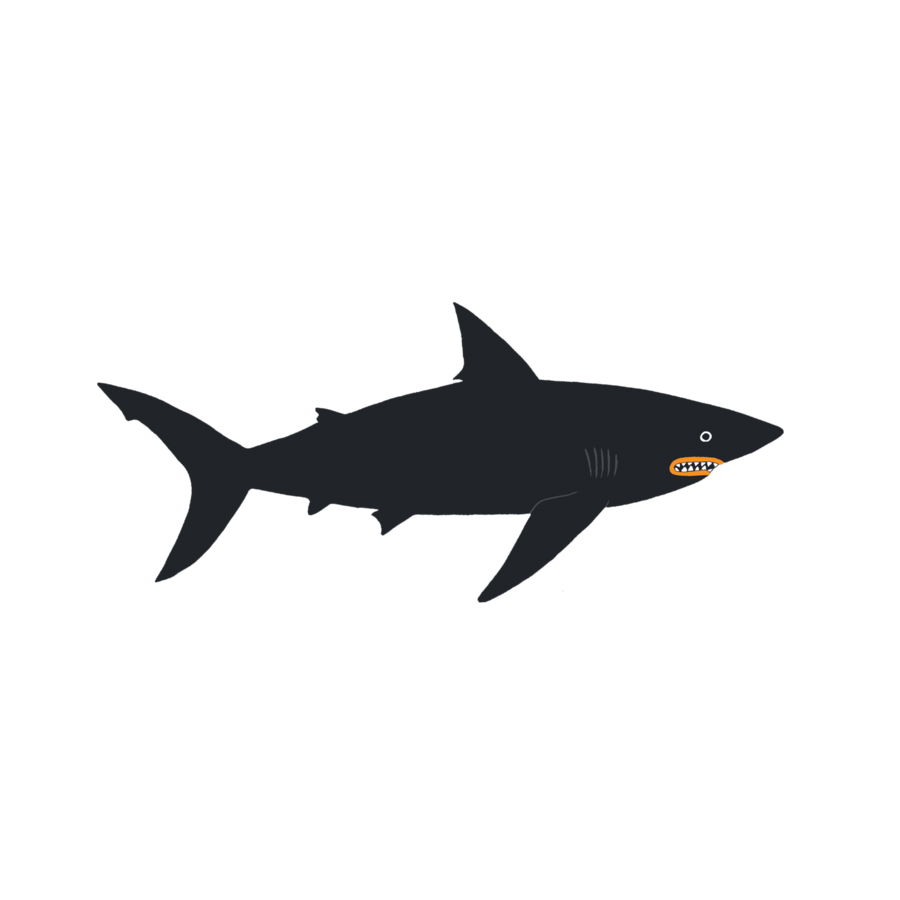 Dark Waters Shark Temporary Tattoo Pair