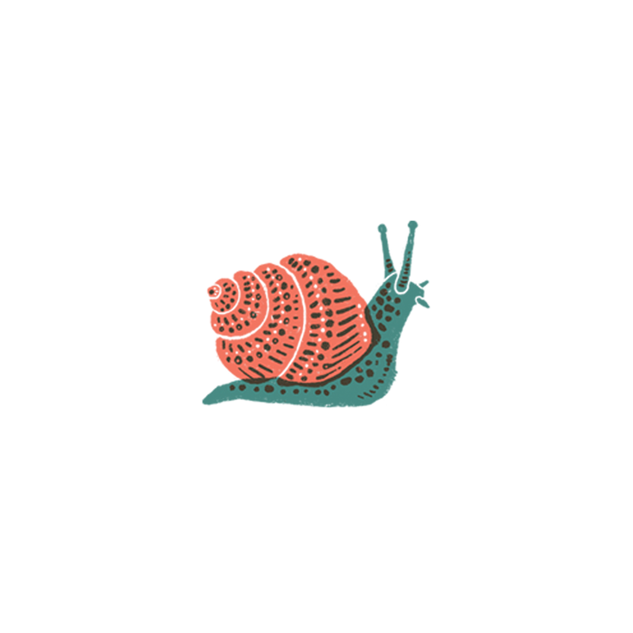 Snail Tattoo Pair by Tattly